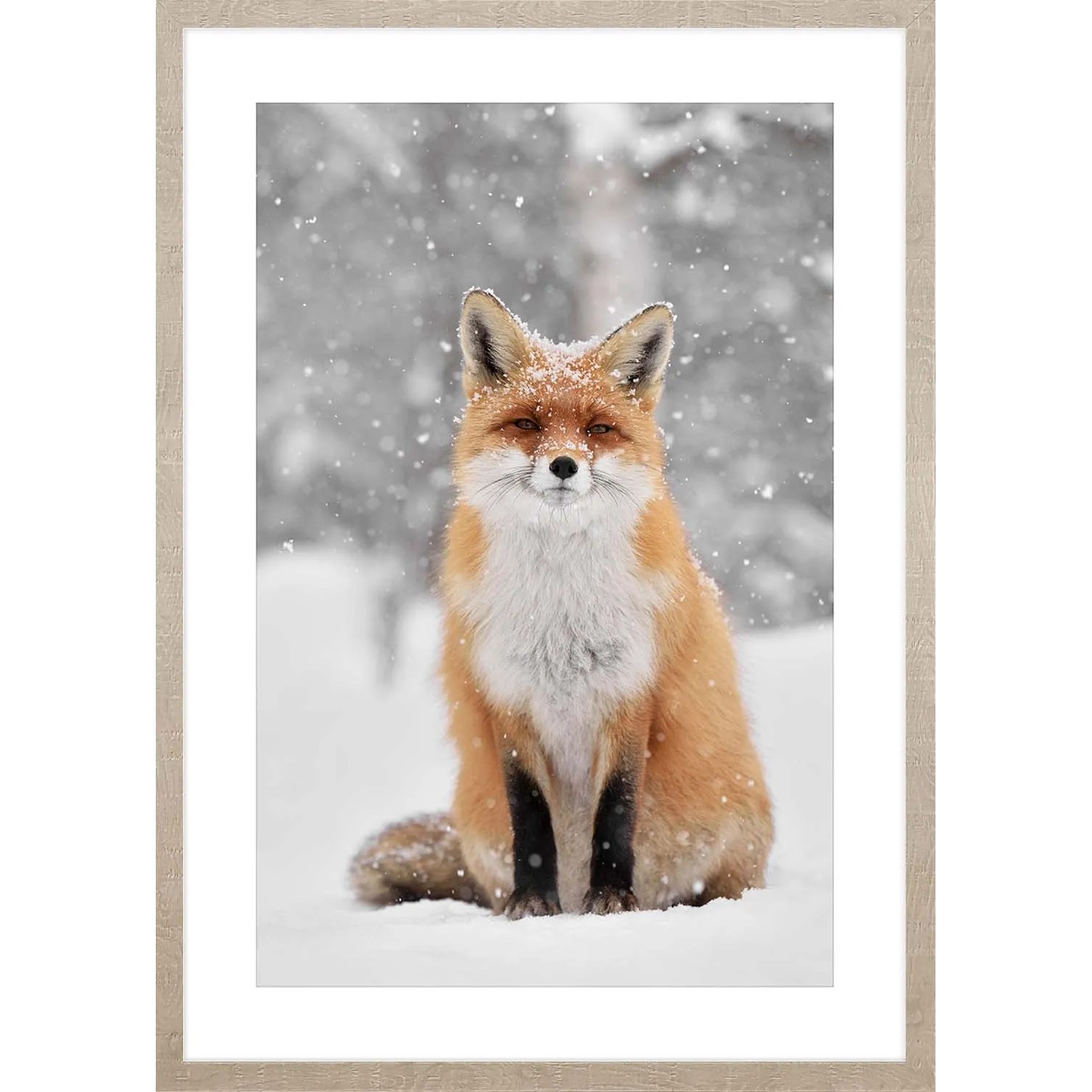 ARS LONGA Obraz FO x  IN WINTER 53 x 73 cm