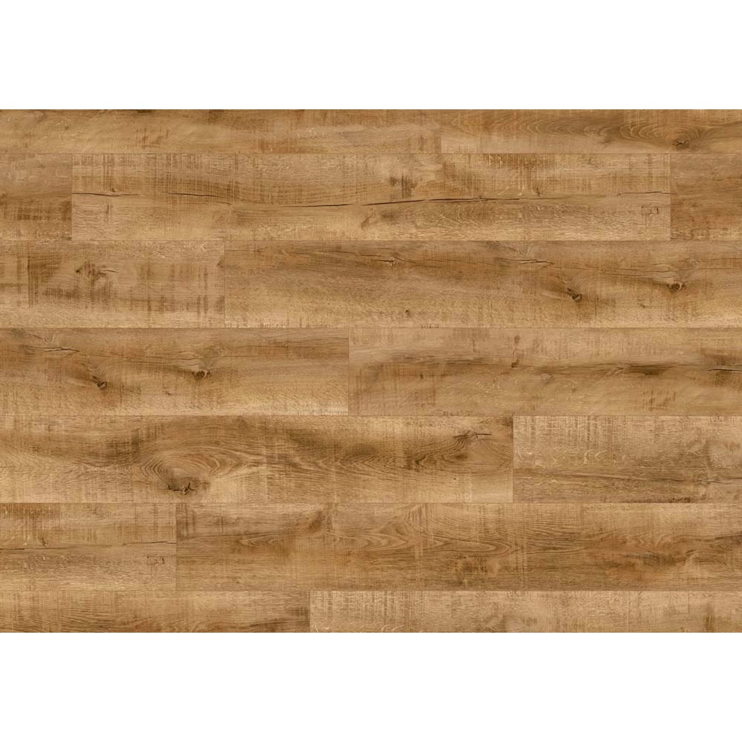 Panel podłogowy Dąb Calvetron 8 mm AC 5