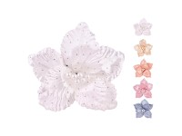 Magnolia na piku, mix - 25 cm