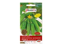 Ogórek gruntowy Soplica - 5 g