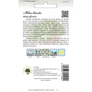 Nasiona melisy, wieloletnie zioło kuchenne do ogrodu i na balkon.