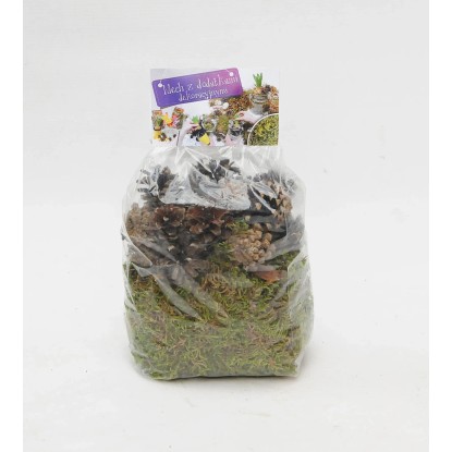 4Flower Mech z dodatkami deko. 20cmx8 cm