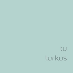t.b.t. farba do ścian w kolorze turkusowym. Kolorowa farba do ścian wewnętrznych.