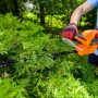 Pomarańczowo-czarne elektryczne nożyce do żywopłotu t.b.t. w użyciu podczas cięcia żywopłotu.