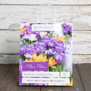 Opakowanie mieszanki krokusów (60 sztuk) z krokusami fioletowymi, żółtymi i białymi.