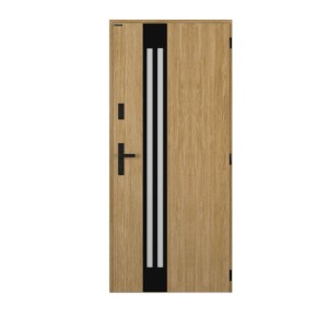 Wiśniowski Drzwi zewnętrzne Tornado Lustro klam Malt 80P