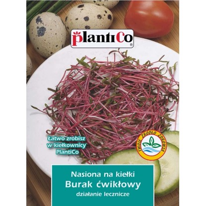 Nasiona na Kiełki buraka