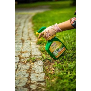 Aplikacja środka chwastobójczego t.b.t. na trawniku