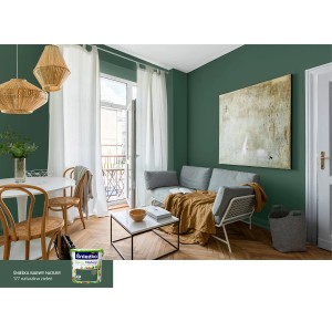 Pokój dzienny z zielonymi ścianami (t.b.t.). Kolorowa farba do ścian dla naturalnego otoczenia.