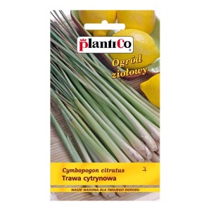Opakowanie nasion trawy cytrynowej (Cymbopogon citratus) do ogrodu ziołowego.