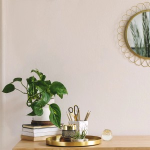 Dekoracyjna scena z rośliną doniczkową, złotym lustrem i artykułami biurowymi na stole.
