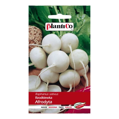 Rzodkiewka Afrodyta