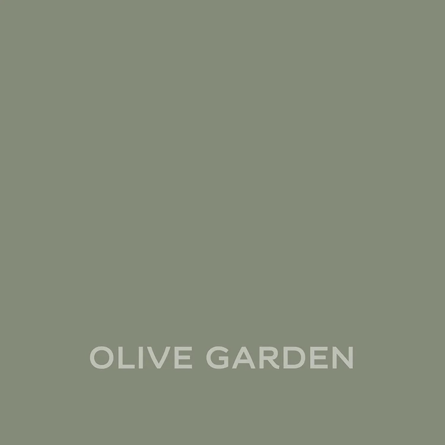 Próbka koloru farby do ścian t.b.t. w odcieniu Olive Garden.