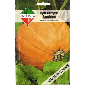 Dynia olbrzymia Bambino 5 g