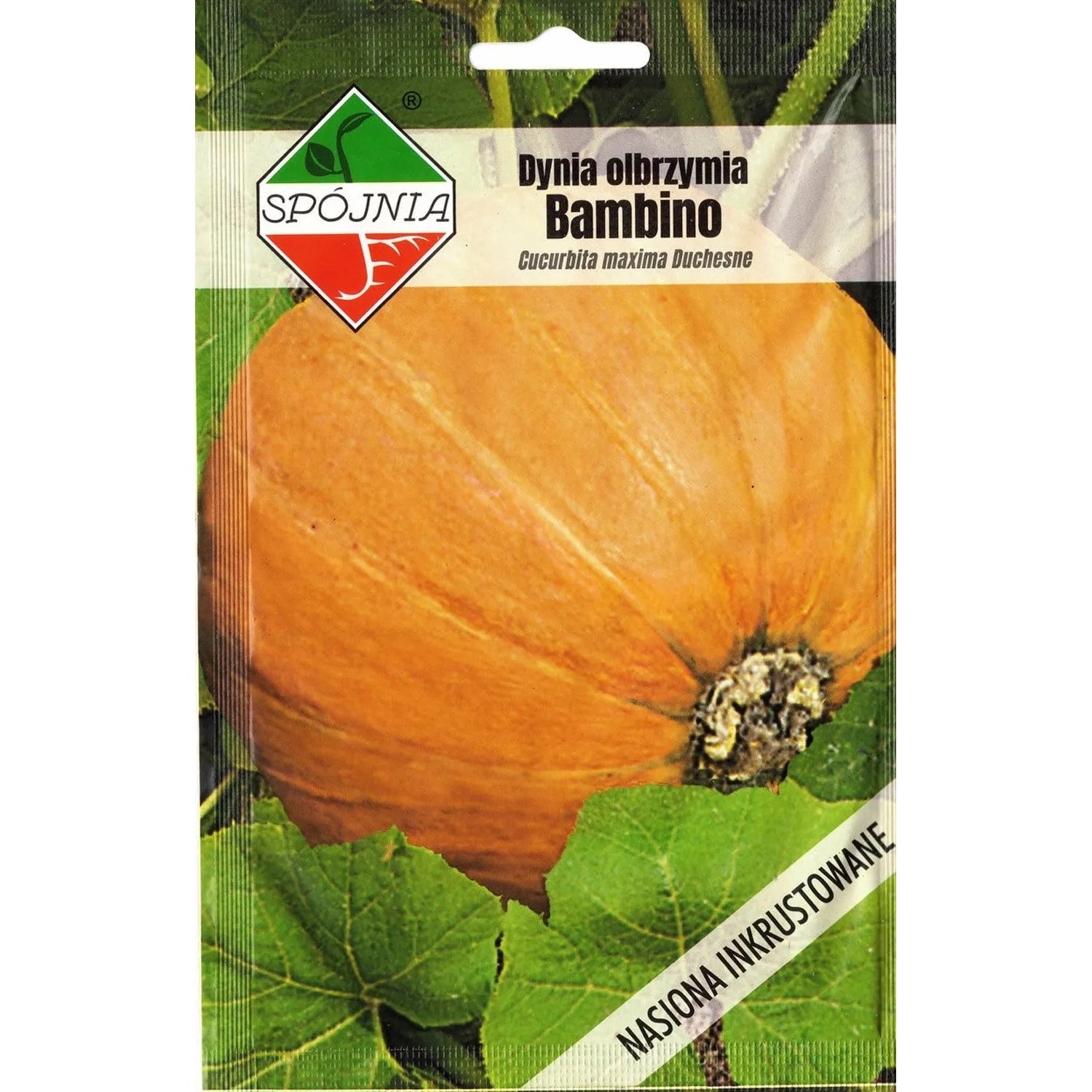 Dynia olbrzymia Bambino 5 g