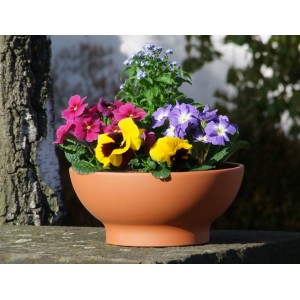 Terracotta Wave donica (Ø 26 cm) obsadzona kolorowymi kwiatami.