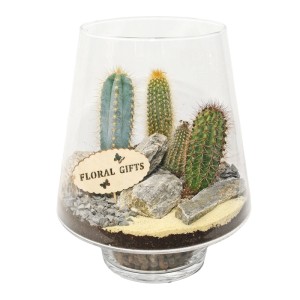 Kompozycja w szklanym słoju Afryka