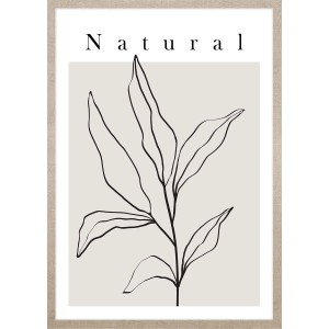 ARS LONGA Obraz ART LINE PLANT no.1 53 x 73 cm