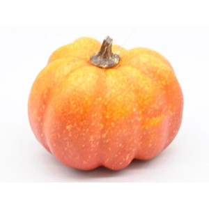 Dekoracyjna pomarańczowa dynia do dekoracji ogrodu.