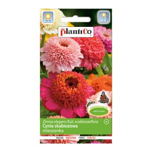 Opakowanie nasion Cynia (Cynia skabiozowa) mieszanka z kwiatami w kolorze różowym, czerwonym i pomarańczowym.
