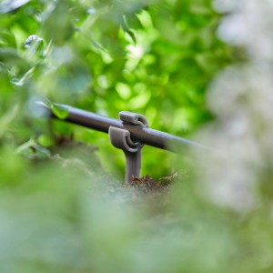 Uchwyt rury Gardena (Ø 4,6 mm) mocuje rurę rozdzielczą w systemie Micro-Drip.