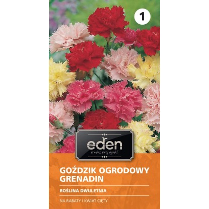 Goździk ogrodowy Grenadin - 0,5 g