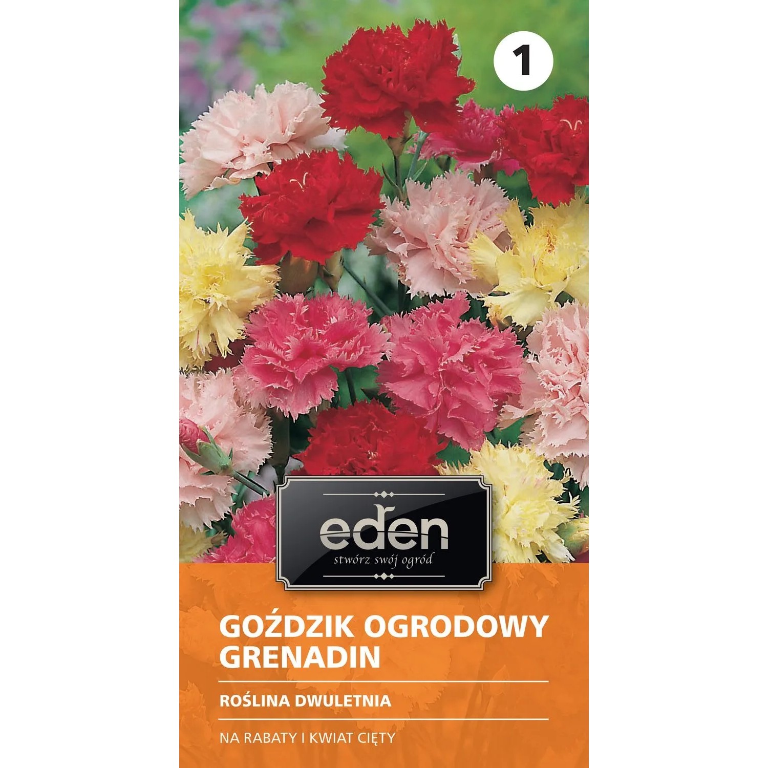 Goździk ogrodowy Grenadin - 0,5 g