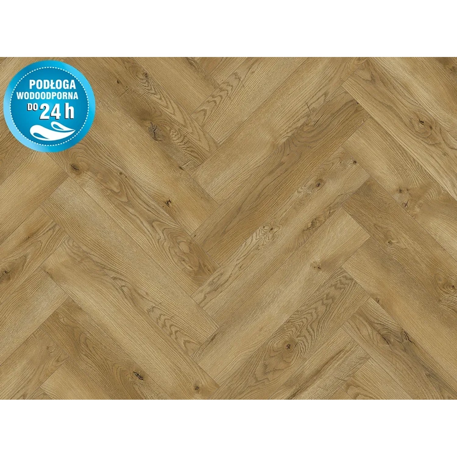 Classen Panel podłogowy Dab Carrito 8 mm AC 5 FV