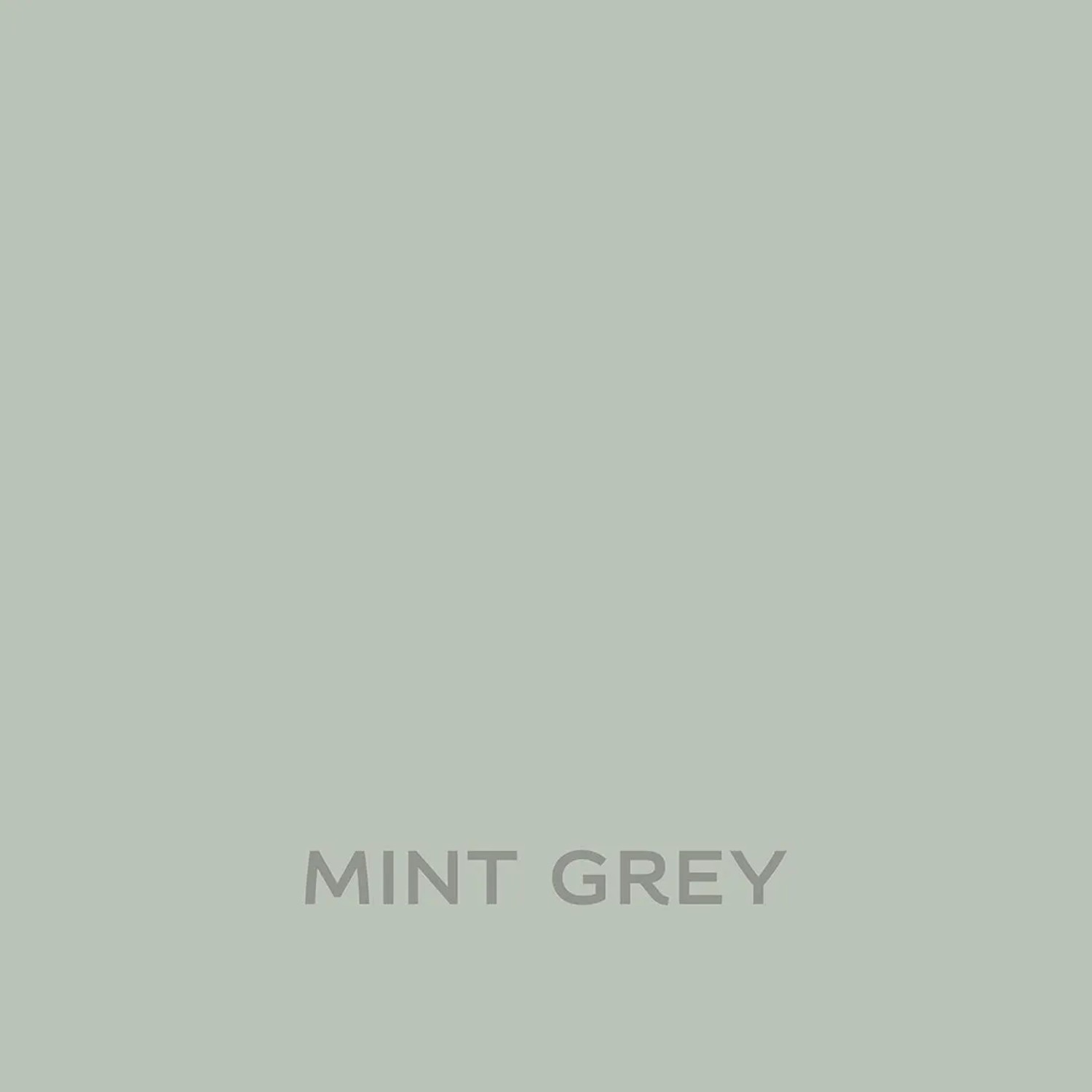 Próbka koloru farby ściennej t.b.t. w odcieniu Mint Grey. Kolorowe farby do ścian.