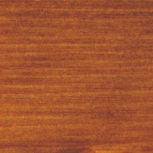 Zbliżenie drewna zabezpieczonego olejem, kolor: Miodowy brąz.