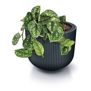 Ciemnoszara doniczka t.b.t. z rośliną, żebrowana struktura.