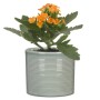 Osłonka Scheurich 828 Classic Mix z pomarańczową Kalanchoe w jasnoszarej ceramicznej doniczce.
