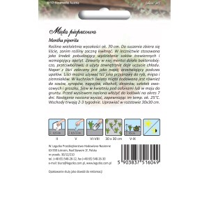 Opakowanie nasion mięty pieprzowej: nasiona wieloletnich ziół do ogrodu.