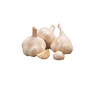 Świeży czosnek, składnik wielu potraw. Kategoria: Warzywa.