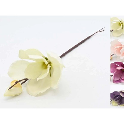 Magnolia bukiet - 36 cm