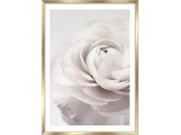 Obrazek PETALS framepic 50 cm x 70 cm Obrazek PETALS framepic 50 cm x 70 cm