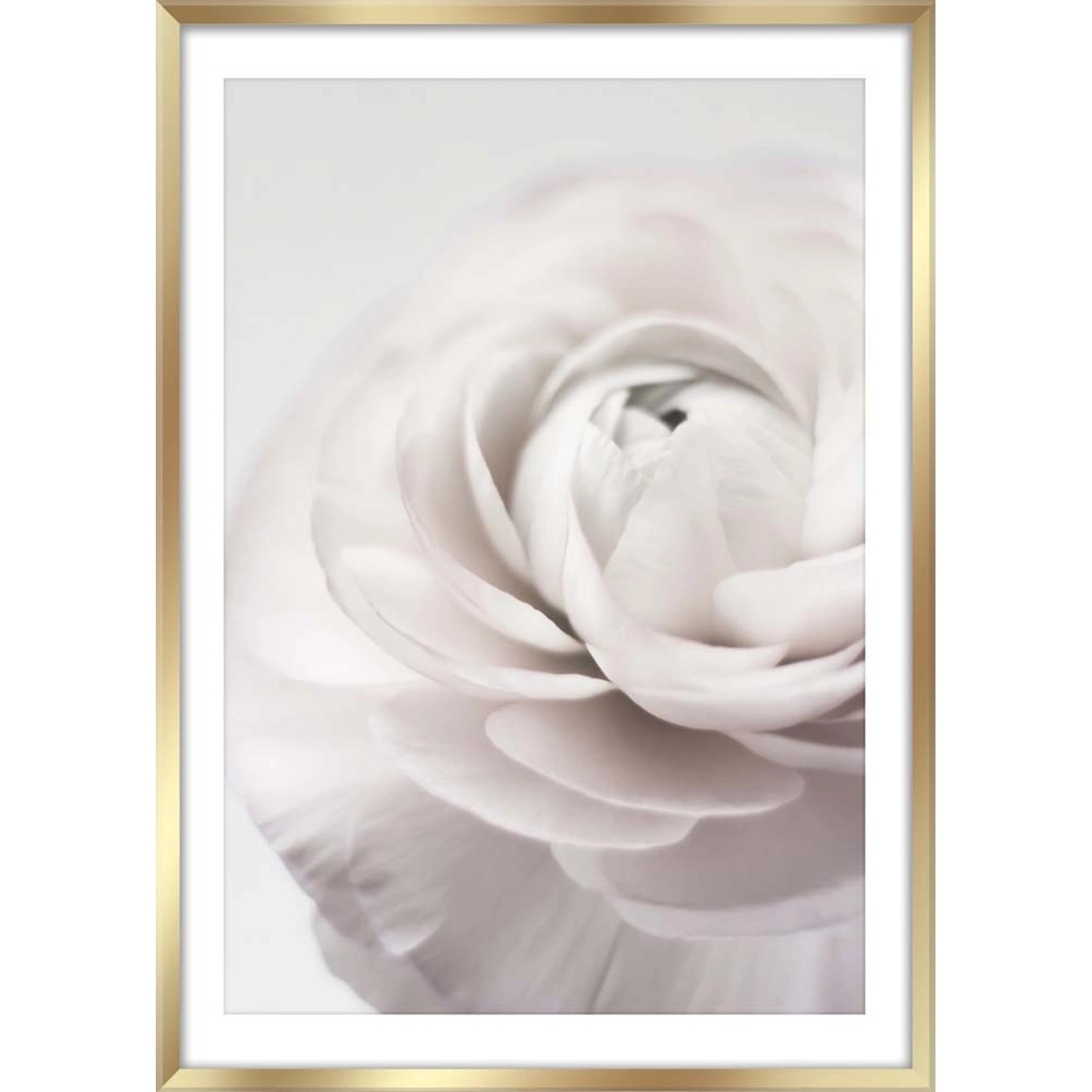 Obrazek PETALS framepic 50 cm x 70 cm