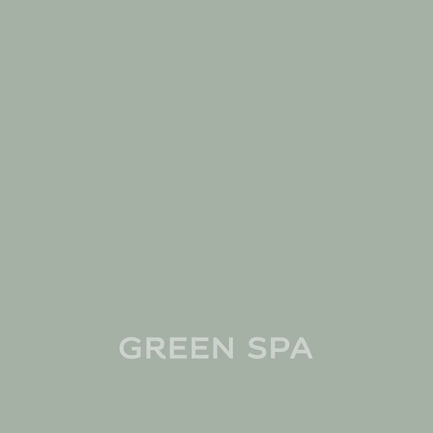 Próbka koloru farby ściennej t.b.t. w odcieniu Green Spa, szarozielony kolor.