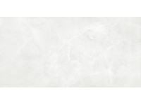 Glazura Shiny Lake light grey 29,8 x 59,8 cm kupuj w OBI