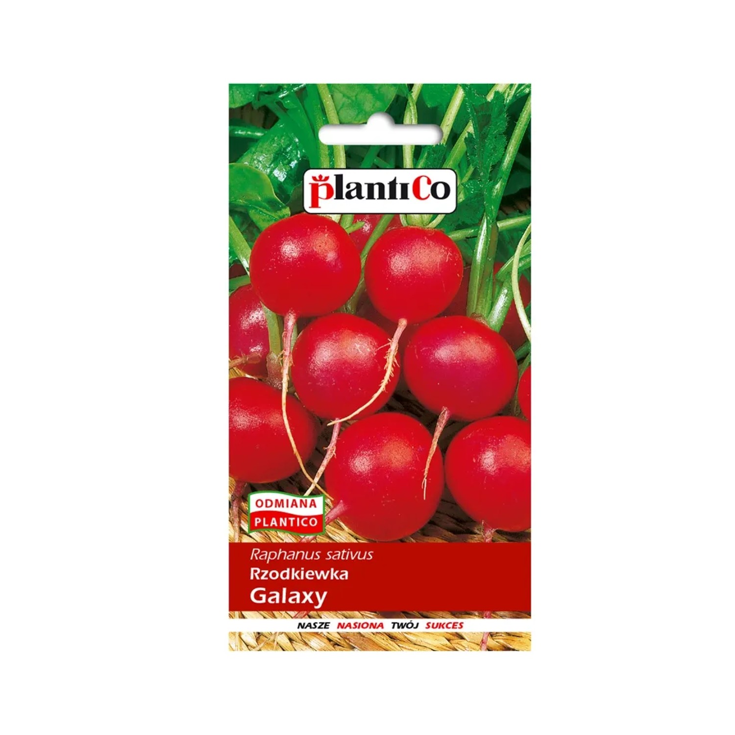 PlantiCo Rzodkiewka Galaxy 10g