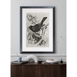 ARS LONGA Obraz BIRDS ON BRANCHES 45 x 55 cm