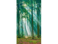 Tapeta panoramiczna winylowa na flizelinie PHOTOGRAPHIC TREE 159 x 280 cm