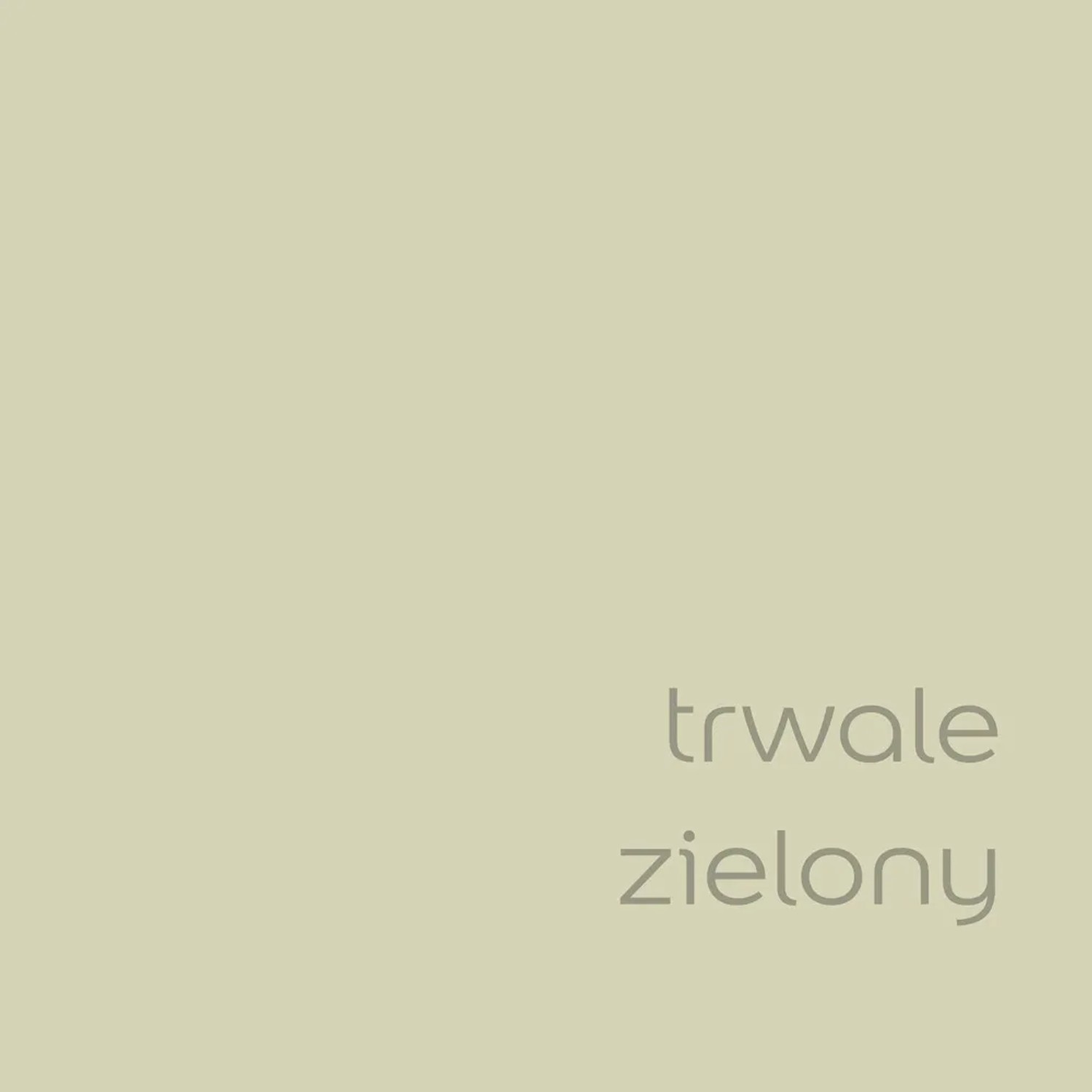 Próbka koloru farby do ścian t.b.t. w delikatnym odcieniu zieleni.