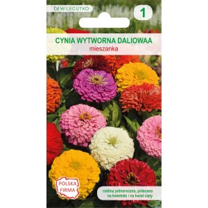 Opakowanie nasion cynii 'Dalekokwiatowa': Mieszanka kolorowych cynii na rabaty i do wazonów.