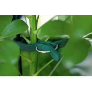 Zielone klipsy do roślin w 3 rozmiarach (20 szt.) mocujące roślinę do palika.