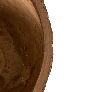 Zbliżenie brązowej donicy t.b.t. z korą drzewa na krawędzi.