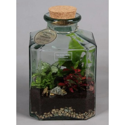 Nowoczesna kompozycja - mix 5 roślin doniczkowych w szklanym słoju, wys. 29 cm.