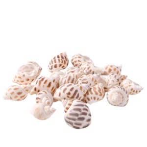Muszelki dekoracyjne brązowe 1,5 cm - 170 g