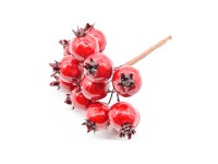 Wiązka jagody na piku - 11 cm