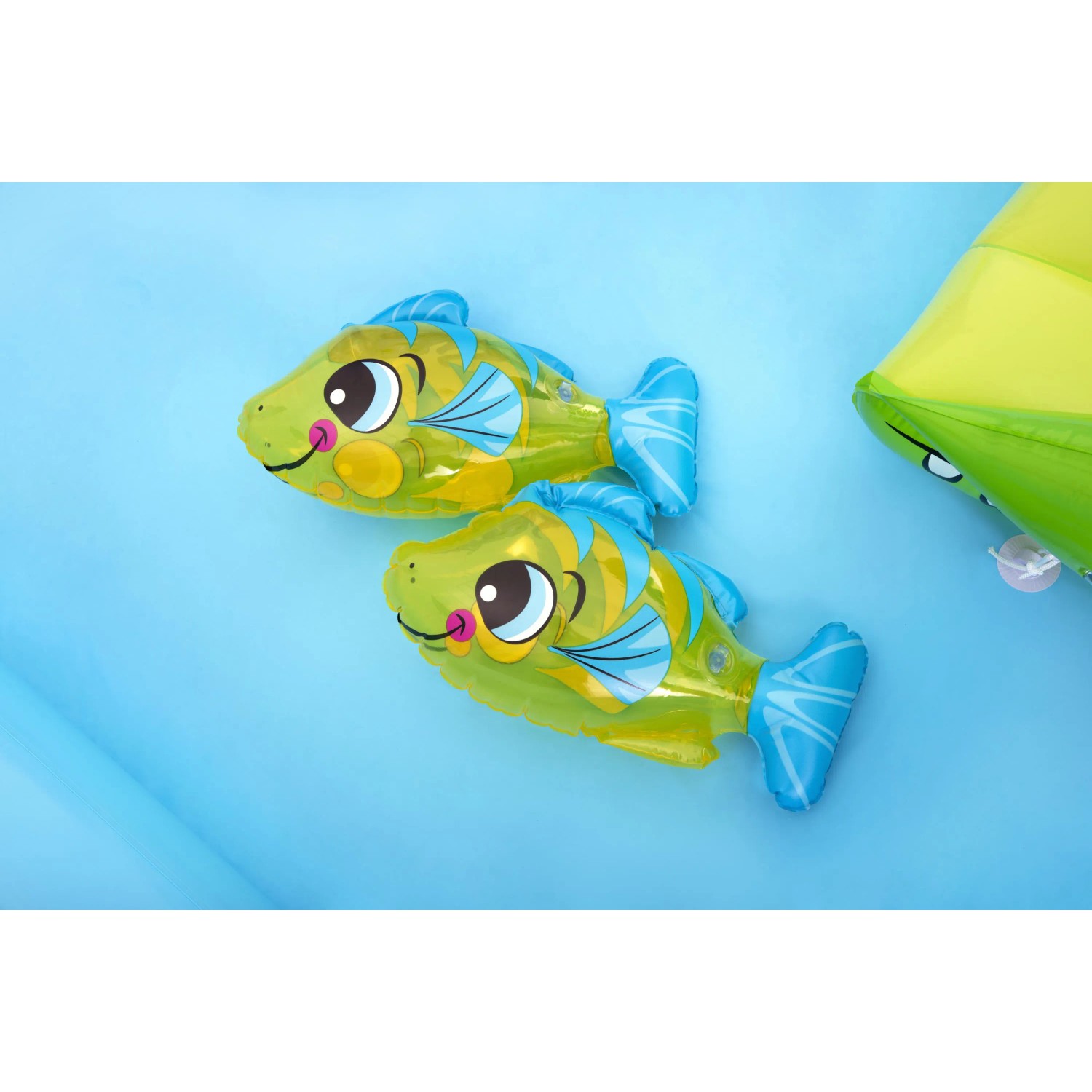 Zbliżenie: Dwie ryby błazenki w wodnym centrum zabaw Bestway Aquarium.